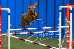 2024-3-10-May-Trial-473