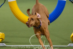 2024-3-10-May-Trial-474