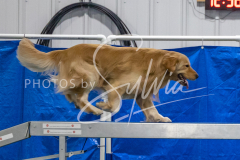 2024-3-10-May-Trial-475