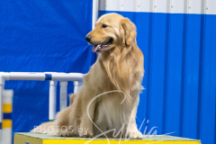 2024-3-10-May-Trial-476