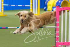 2024-3-10-May-Trial-477