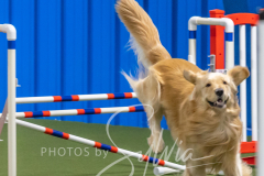 2024-3-10-May-Trial-478