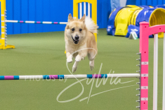 2024-3-10-May-Trial-479