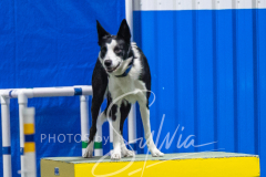 2024-3-10-May-Trial-480