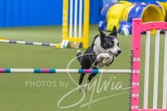 2024-3-10-May-Trial-482