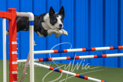 2024-3-10-May-Trial-483