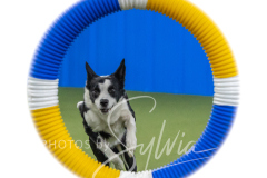 2024-3-10-May-Trial-484