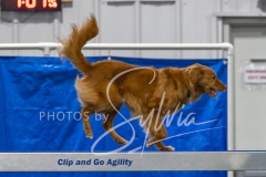 2024-3-10-May-Trial-485