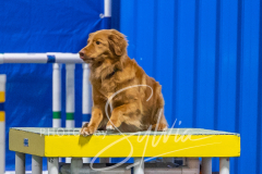 2024-3-10-May-Trial-486