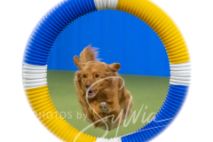 2024-3-10-May-Trial-488