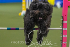 2024-3-10-May-Trial-490