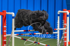 2024-3-10-May-Trial-491