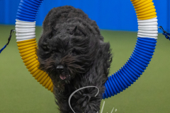 2024-3-10-May-Trial-492