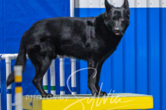 2024-3-10-May-Trial-495