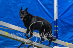 2024-3-10-May-Trial-496