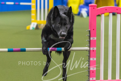 2024-3-10-May-Trial-497