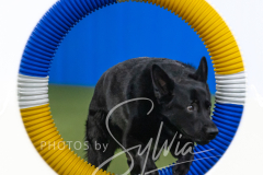 2024-3-10-May-Trial-498