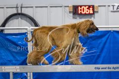 2024-3-10-May-Trial-499