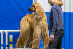 2024-3-10-May-Trial-501