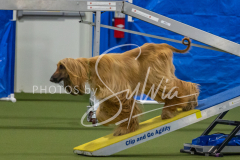 2024-3-10-May-Trial-503