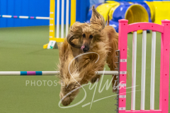 2024-3-10-May-Trial-504