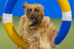 2024-3-10-May-Trial-505