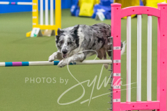 2024-3-10-May-Trial-506