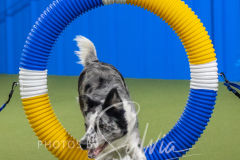 2024-3-10-May-Trial-507