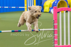 2024-3-10-May-Trial-508