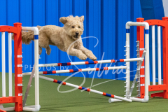 2024-3-10-May-Trial-509