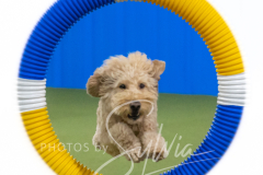 2024-3-10-May-Trial-510