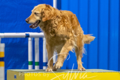 2024-3-10-May-Trial-513