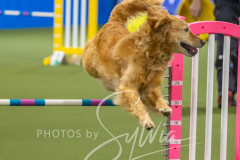 2024-3-10-May-Trial-514