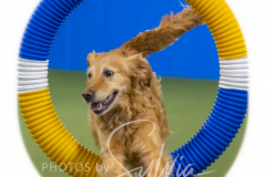 2024-3-10-May-Trial-515