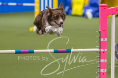 2024-3-10-May-Trial-516