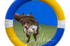 2024-3-10-May-Trial-517