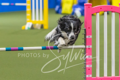 2024-3-10-May-Trial-518