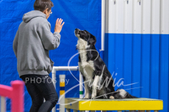 2024-3-10-May-Trial-519