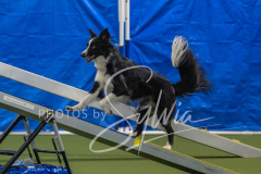 2024-3-10-May-Trial-520