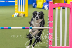 2024-3-10-May-Trial-521