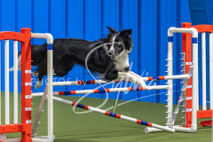 2024-3-10-May-Trial-522