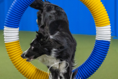 2024-3-10-May-Trial-523