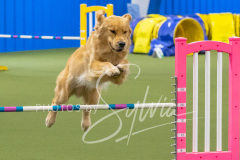 2024-3-10-May-Trial-524