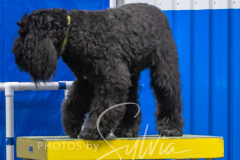 2024-3-10-May-Trial-525