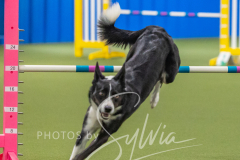 2024-3-10-May-Trial-528