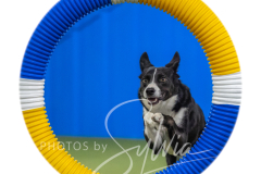 2024-3-10-May-Trial-529