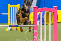 2024-3-10-May-Trial-531