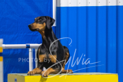 2024-3-10-May-Trial-532