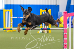 2024-3-10-May-Trial-533