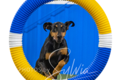 2024-3-10-May-Trial-534